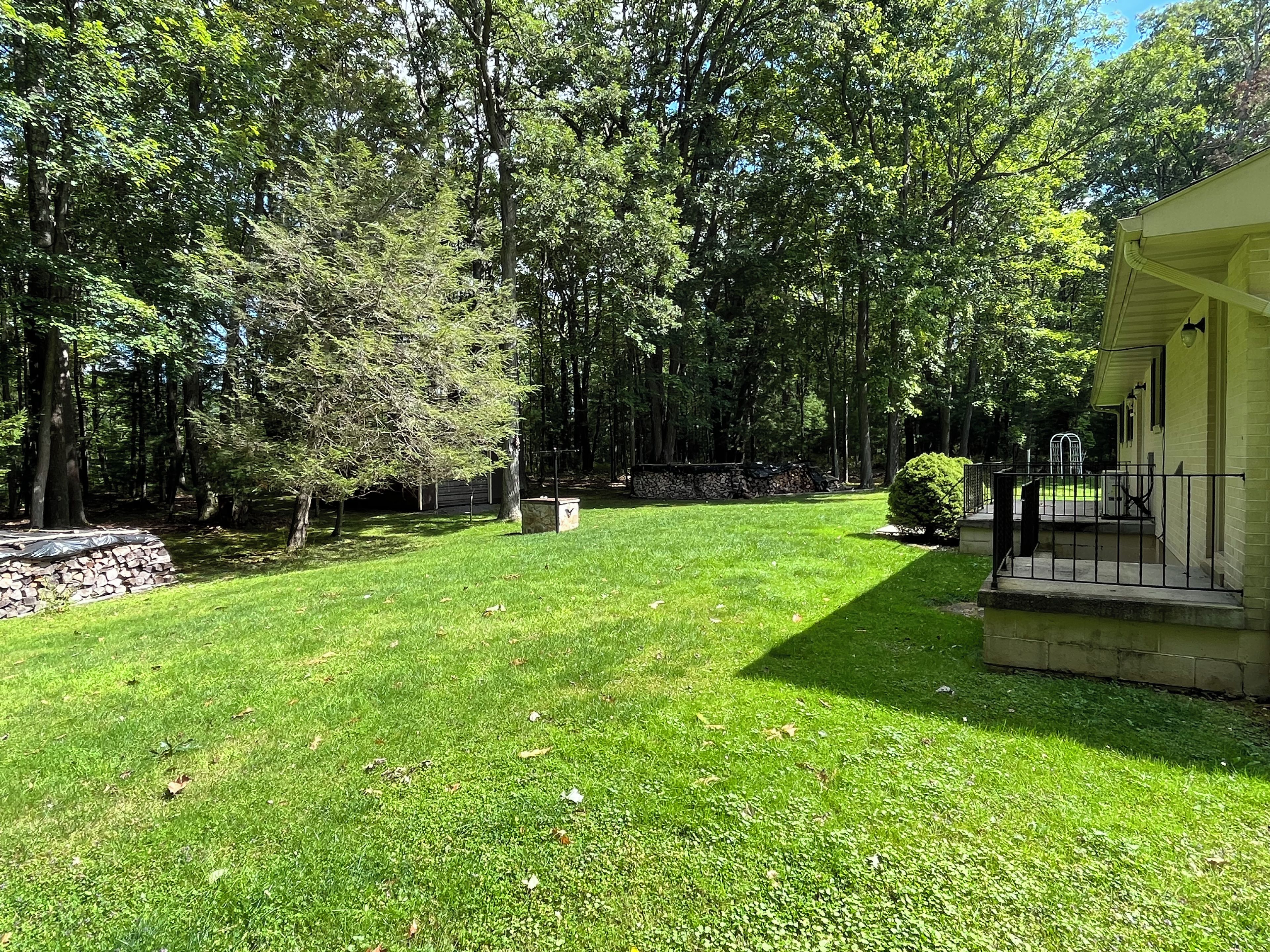 A well-maintained lawn with a stone wall, a small bush, and a building with a porch.