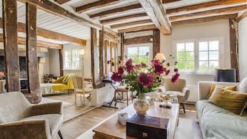 Télévision, cheminée, table de tennis de table, livres