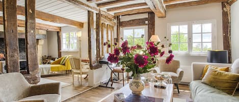 Televisión, chimenea, mesa de ping pong, libros