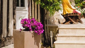 Un camino de piedra que conduce a un edificio con una ventana y una maceta con flores moradas.