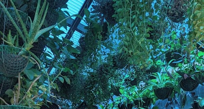 Entire House in Safe & Peaceful, Gated, Golf Community with 2 Swimming Pools.