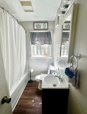 Une salle de bain équipée d’un rideau de douche, de toilettes, d’un lavabo et d’un miroir.