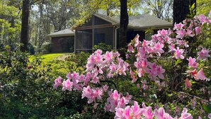 A house surrounded by lush greenery and blooming pink azaleas.
