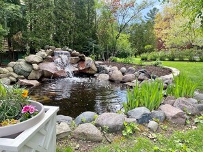 Terrain de l’hébergement 