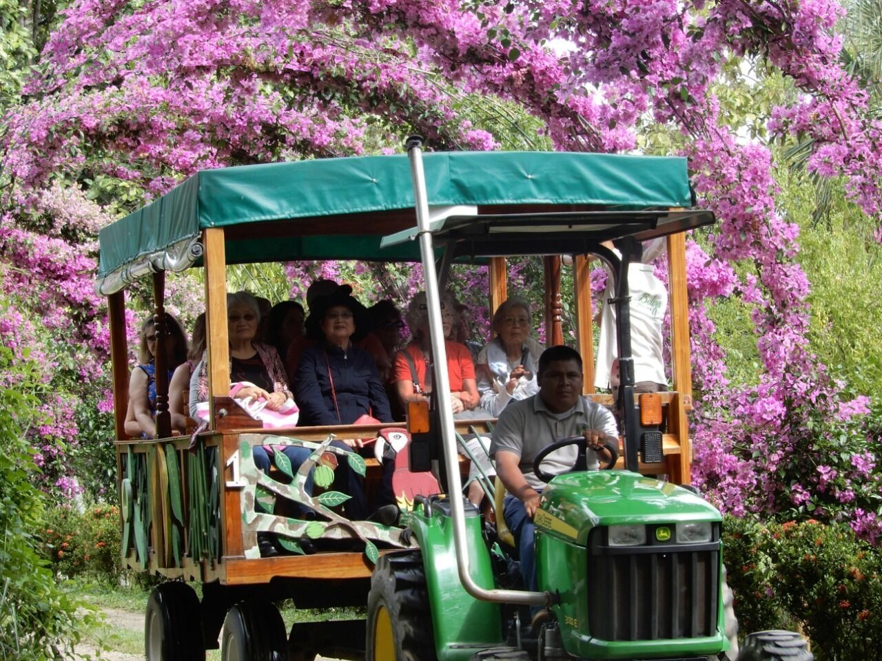 A green vehicle with passengers, surrounded by purple flowers.