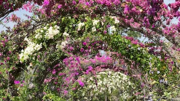 Outdoor wedding area