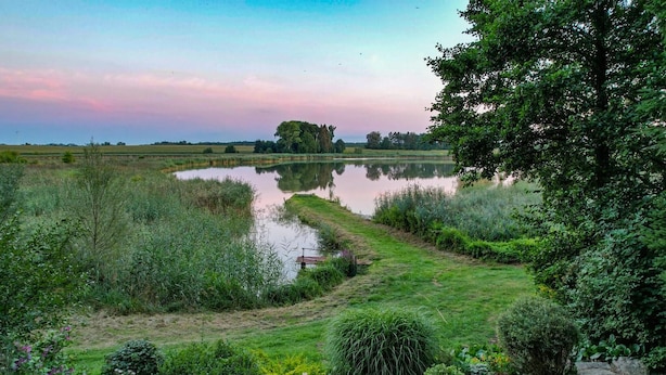 Un paysage paisible avec un étang, une végétation luxuriante et un arbre qui se dessine à l’horizon.