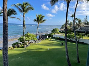 Property grounds - Beachfront 2 bedroom  central Kapaa (Kapaa)