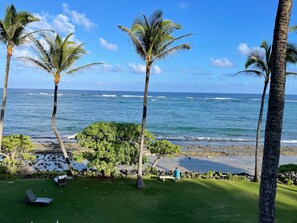 A beach view with palm trees, ocean waves, and a grassy area with lounge chairs.