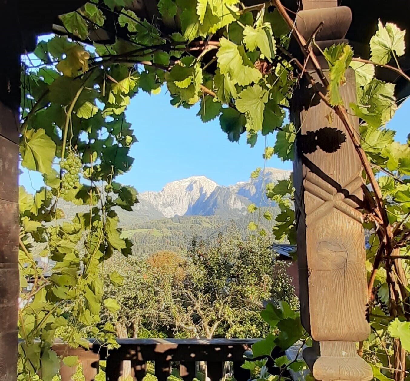 Eine Pergola mit Weinreben, einer Bank und einer gebirgigen Landschaft im Hintergrund.