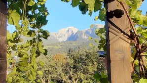 Eine Pergola mit Weinreben, einer Bank und einer gebirgigen Landschaft im Hintergrund.