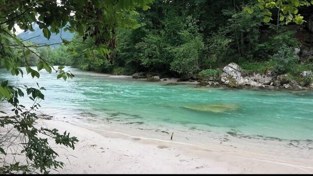 Ein Fluss mit klarem Wasser, umgeben von Grünpflanzen und Felsen.