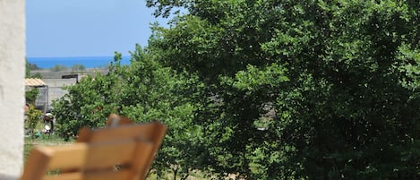 屋外プール、温水プール