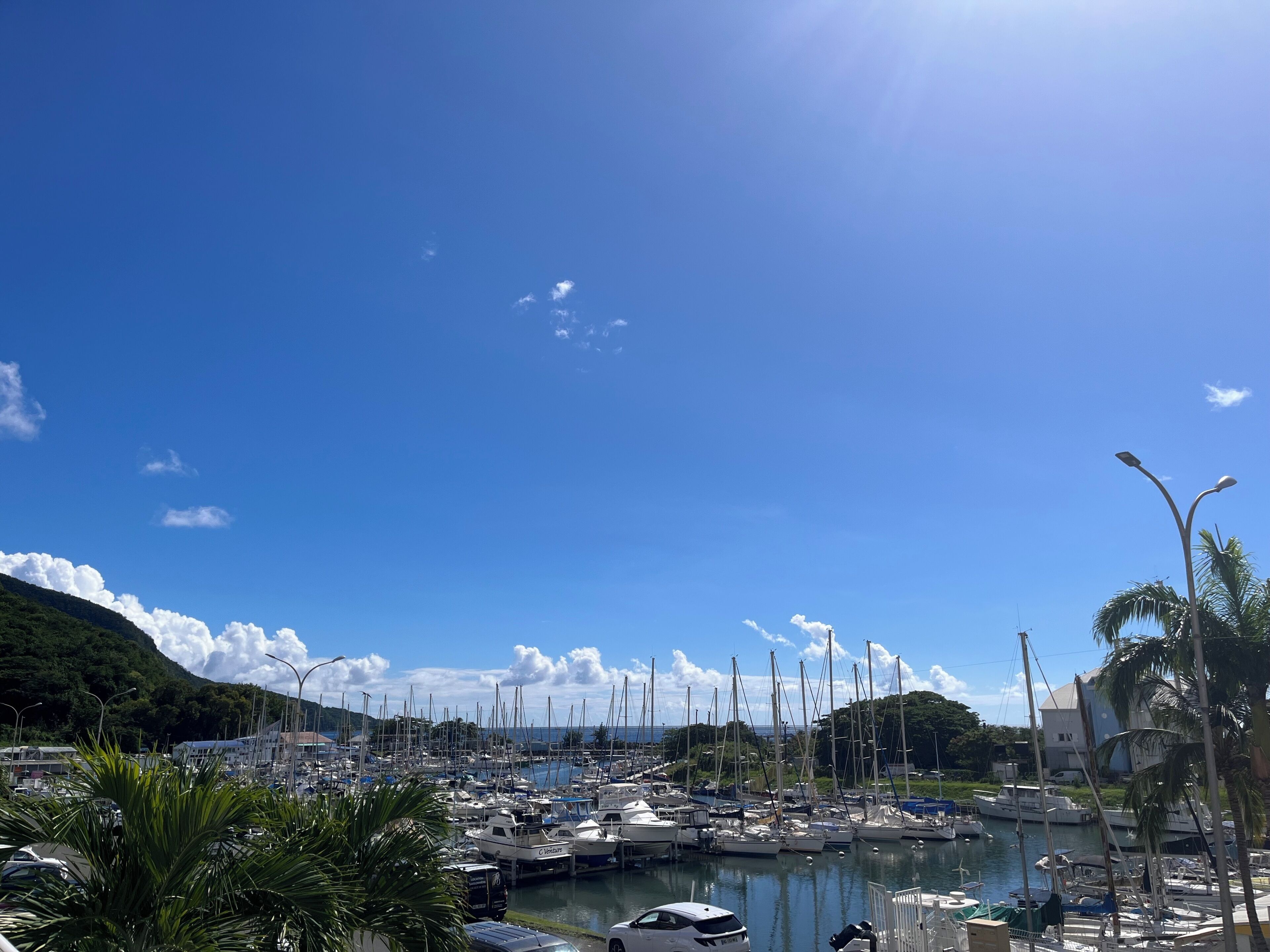 Un port de plaisance où de nombreux bateaux sont amarrés, entouré de verdure et sous un ciel dégagé.
