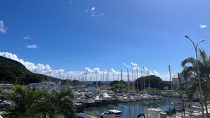 Un puerto deportivo con numerosas embarcaciones amarradas, rodeado de vegetación y un cielo despejado.