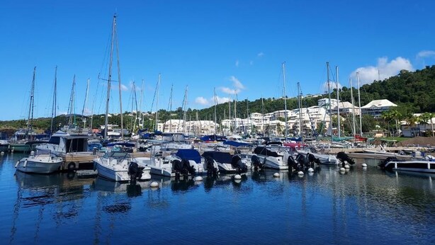 Un puerto deportivo con numerosas embarcaciones amarradas, aguas tranquilas y edificios al fondo.