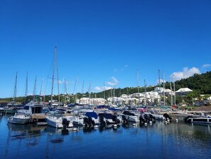 A marina with numerous boats docked, calm water, and buildings in the background.