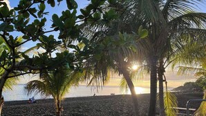 Escena de playa con palmeras y el sol poniéndose sobre el agua.