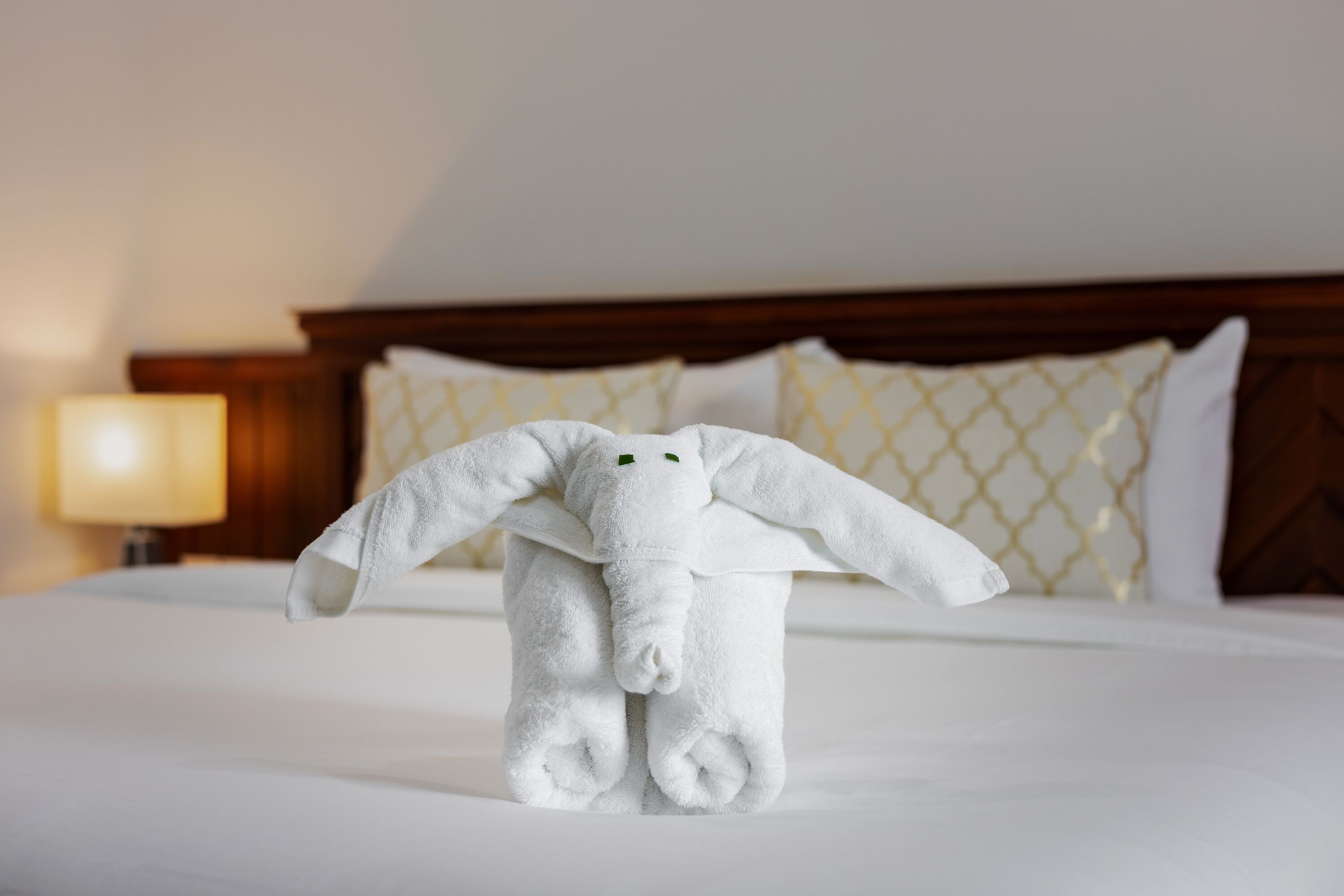 A bed with a white blanket, a white pillow, and a white stuffed animal.