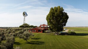 A rural property with a windmill, a large tree, and a red house with a balcony. - Cozy family apartment for 6 people. (Lazio)