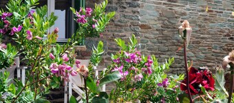 Zenios Andros - Cycladic house with amazing view