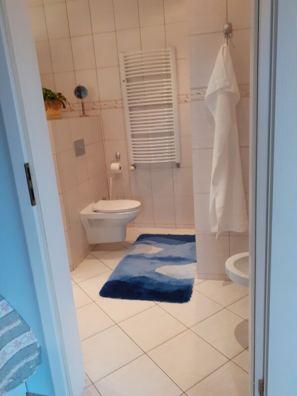 Shower, hair dryer, bidet, towels