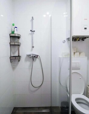 Shower, free toiletries, hair dryer, towels