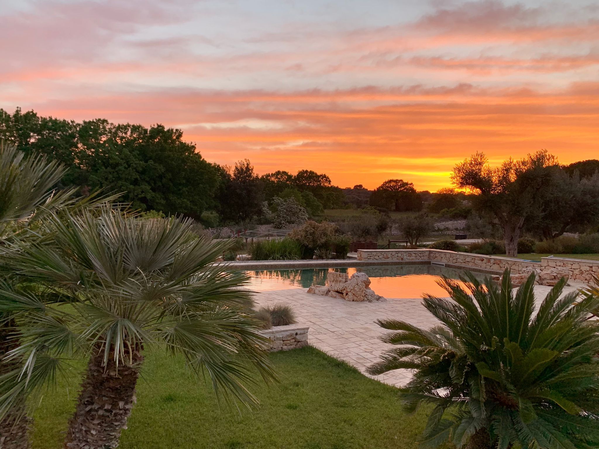Un jardin aménagé avec une piscine, des palmiers et un coucher de soleil en arrière-plan.