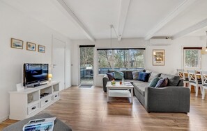 Fernseher, Kamin, DVD-Player