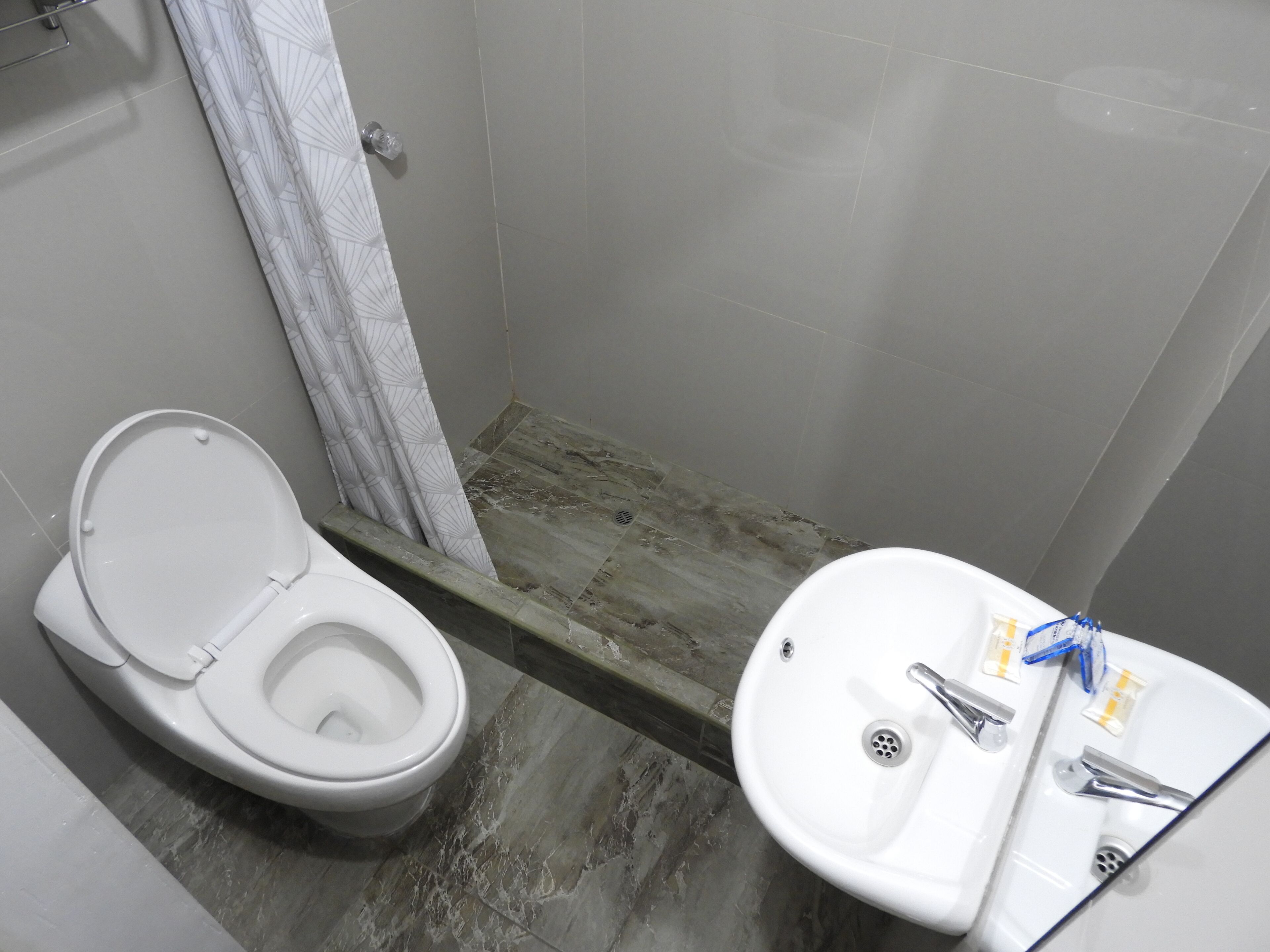 A bathroom with a toilet, a shower area, and a sink with a mirror.