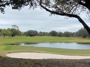 Golf - See the fireworks at Disney each night! (Kissimmee)