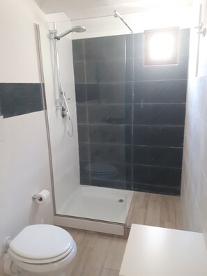 Regadera, secadora de cabello, bidet, toallas 