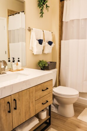 Shower, towels, soap, toilet paper - 5 minutes from Downtown Atlanta, cottage styled condo high rise! (Atlanta)