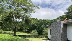 Un edificio moderno con fachada de piedra, rodeado de abundante vegetación y árboles.