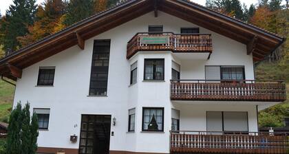 Gemütliche Ferienwohnung "max" Unterm Dach & Terrasse/balkon