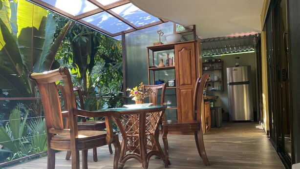 Un comedor con sillas de madera y una mesa de vidrio, rodeado de exuberante follaje y un amplio ventanal.