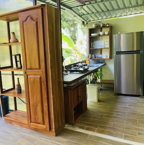 Kitchen area with a gas stove, sink, and refrigerator, featuring ample storage and a potted plant.