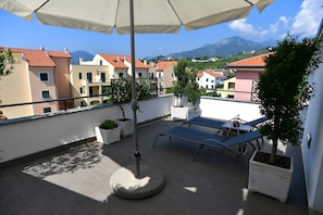 Terras