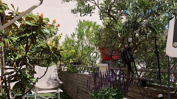 A garden area with various potted plants, a small lawn, and outdoor furniture. - 500 m from Roland Garros stadium, apartment with terrace (6-8 people) (Boulogne-Billancourt)