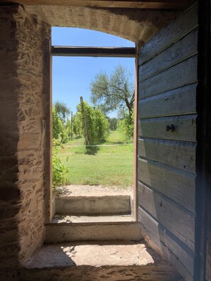 Property grounds - Cervano Ecli: apartment for 5 with original fireplaces from 1886 (Lombardia)