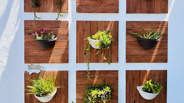 A wall with nine square wooden planters arranged in a 3x3 grid, each containing different types of plants. - Meson del Capitan Apartments (Mazatlán)