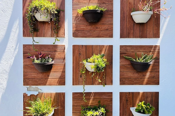 meson del capitan 7 | Terrace/patio