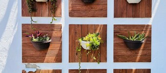 Meson del Capitan Apartments