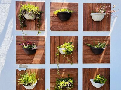 Meson del Capitan Apartments