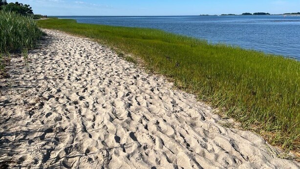 A sandy beach path leading to a calm body of water with grassy areas on the left. - Large Charming Historic House close to Beaches (Clinton)