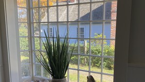 A window with a potted plant and a decorative fish sculpture on a windowsill. - Large Charming Historic House close to Beaches (Clinton)