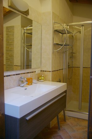 Shower, hair dryer, bidet, towels