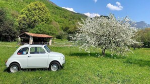 Un coche blanco estacionado en un campo cubierto de hierba, con un edificio pequeño y un árbol en flor al fondo.