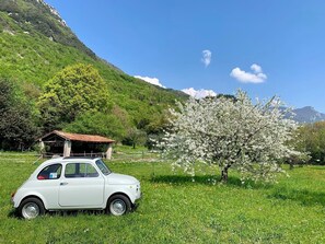 Property grounds - Cervano Nani: perfect for family with small kids or animals (Lombardia)