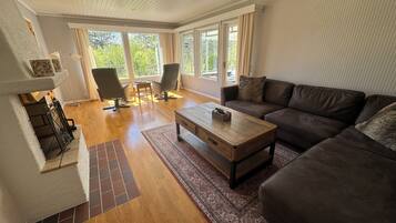 Smart-TV, Kamin